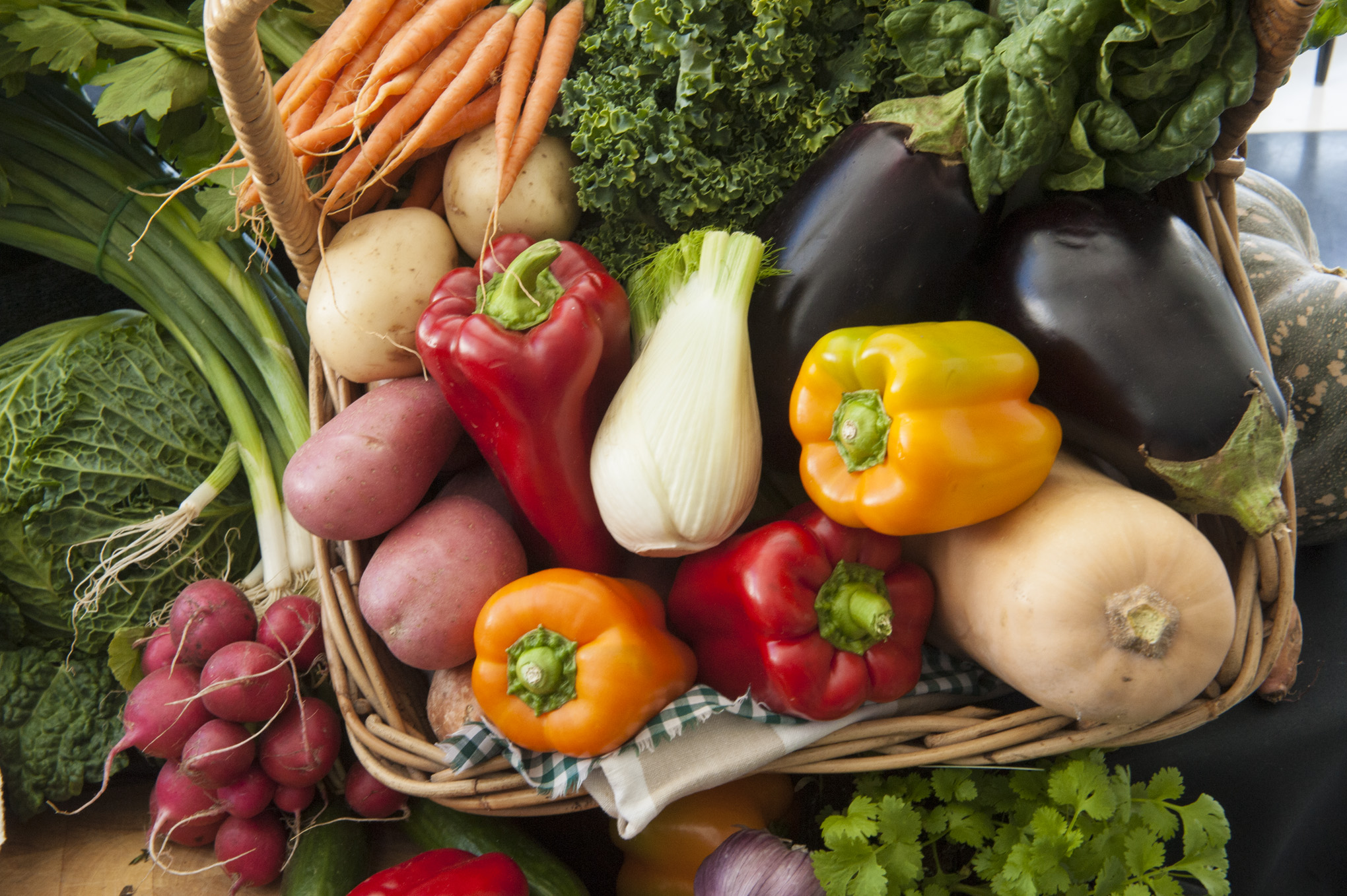 Storage of Harvested and Processed Food